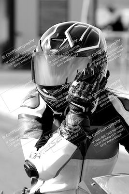 media/Feb-23-2024-2WTD (Fri) [[a719da276a]]/1-Around the Pits/